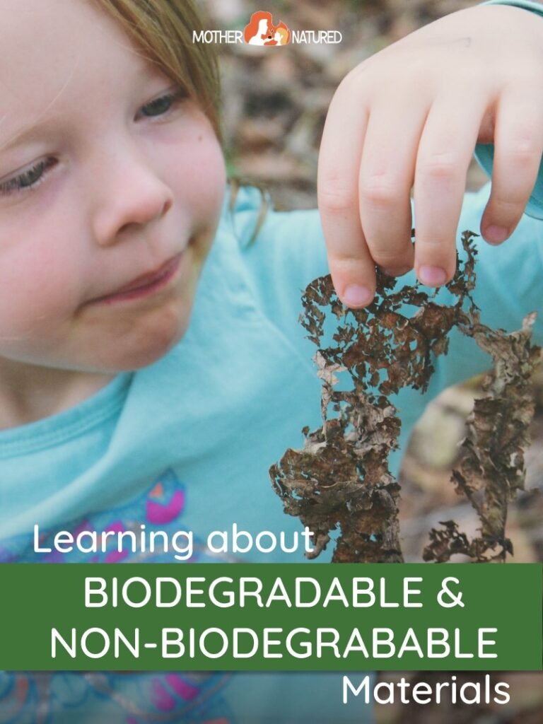 HomeZada's tweet photo. 5 Easy Backyard STEM Activities Your Kids Will Loveย https://t.co/NPaqa9Lasw
#kidsactivities #backyardstem https://t.co/SOWi4ZFJPy