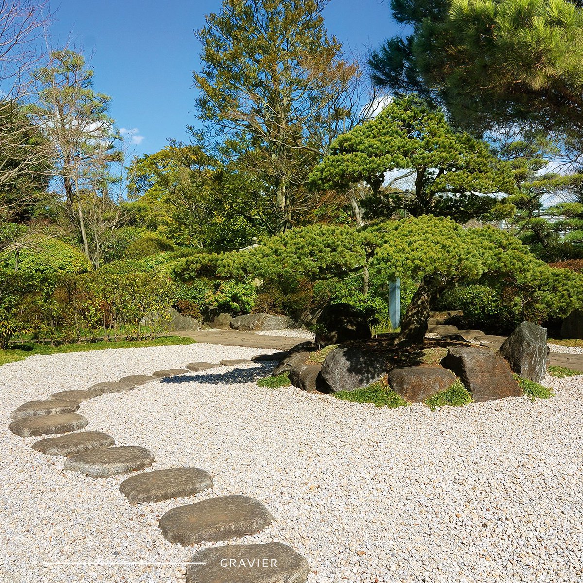 CUPA STONE tweet media