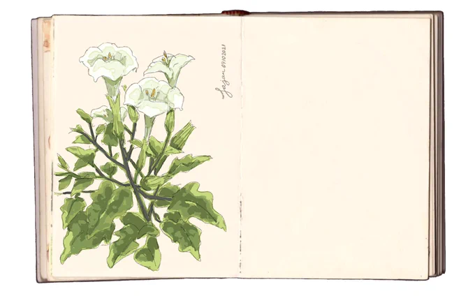 07 