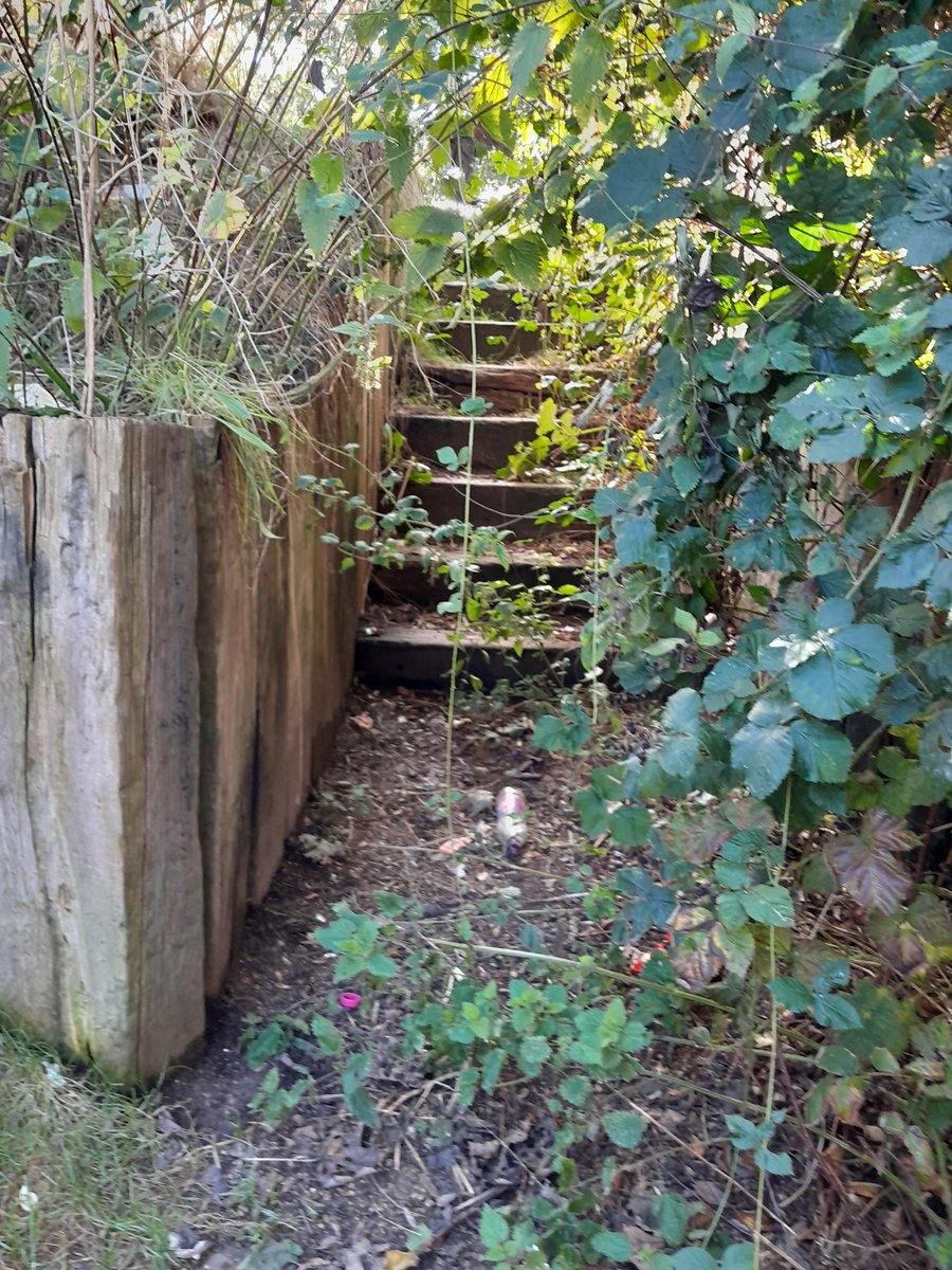NathanCRT4's tweet photo. Was great to get out with the volunteers again today! Clearing the access point at Hydes Bridge on the Tame Valley Canal! 
@CRTWestMidlands 
@CRTnotices https://t.co/Yze6BAxPER