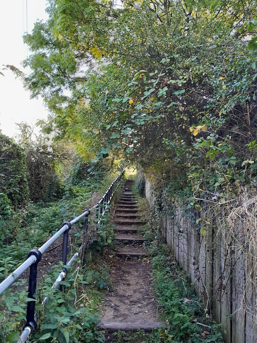 NathanCRT4's tweet photo. Was great to get out with the volunteers again today! Clearing the access point at Hydes Bridge on the Tame Valley Canal! 
@CRTWestMidlands 
@CRTnotices https://t.co/Yze6BAxPER