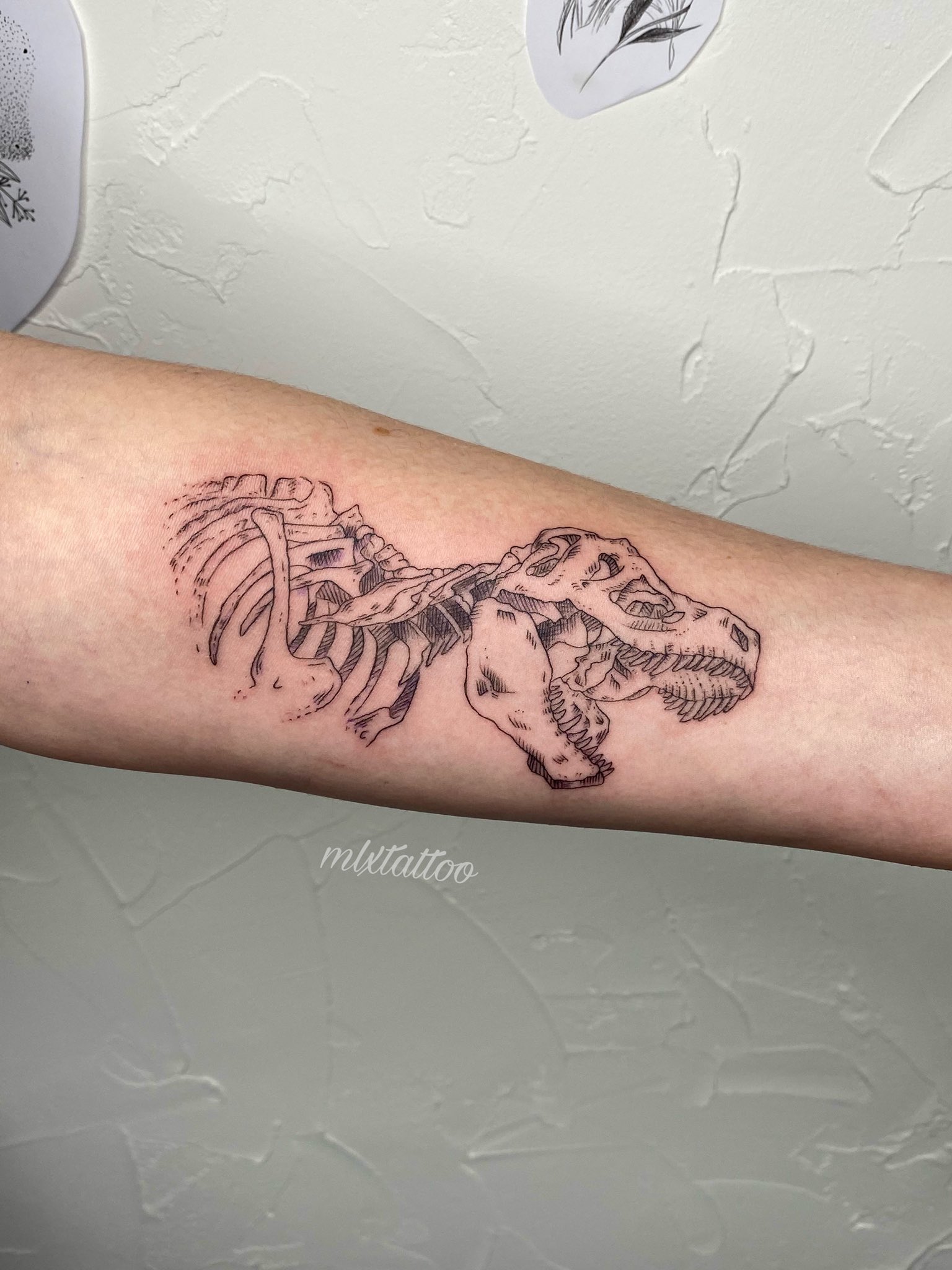 Brothers Keeper Tattoo Realm Cutest little TRex matching tattoo in a trio TRexTattoo MatchingTattoos DynamicBlack KTCartridges RRDTattooSupplies AnarchyRotaryMachine BrothersKeeperTattooRealm Facebook #43 Brothers Keeper Tattoo Realm Cutest little TRex matching tattoo in a trio TRexTattoo MatchingTattoos DynamicBlack KTCartridges RRDTattooSupplies AnarchyRotaryMachine BrothersKeeperTattooRealm Facebook