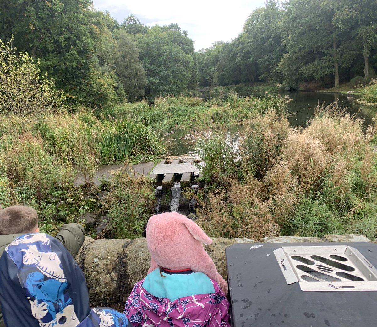 MissWilson888's tweet photo. Bring a Stick to School Day but with a twist! We went out on a walk to find our own! 🌳🪵 @dedridgeps https://t.co/s2QEe6ep3q