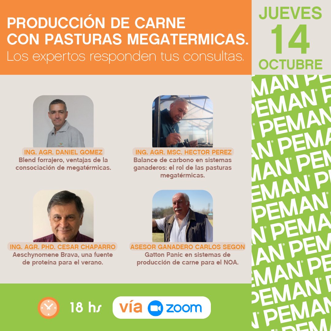 OPemanSemillas's tweet photo. El jueves 14/10 a las 18hs vamos a dar una charla técnica con 4 especialistas vía streaming por la plataforma Zoom 💻.⁣
Te dejamos el link con el formulario de inscripción.⁣ Te esperamos! 🙌🏻

https://t.co/5d5MBbAyHE https://t.co/i23aEeElRA