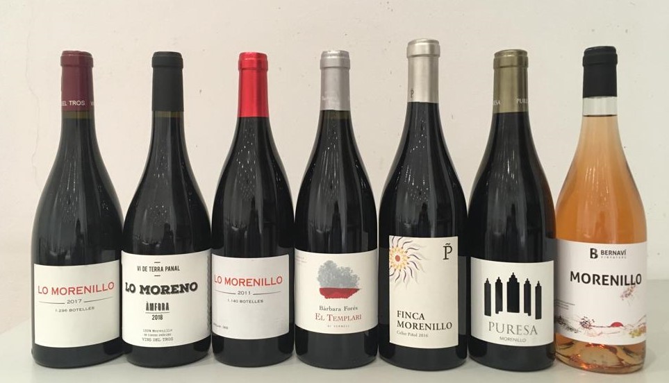 UEC (@uecatadores) on Twitter photo Un lujo haber podido reunir a los todavía pocos embajadores de una joya de nuestra viticultura como la #Morenillo bit.ly/3v3rlpn 5 proyectos que han decidido apostar por este tesoro autóctono de <a href="/doterraalta/">CRDO Terra Alta</a> y que nos brindan hoy la oportunidad de conocer su ADN 🥂🥂 Un lujo haber podido reunir a los todavía pocos embajadores de una joya de nuestra viticultura como la #Morenillo bit.ly/3v3rlpn 5 proyectos que han decidido apostar por este tesoro autóctono de <a href="/doterraalta/">CRDO Terra Alta</a> y que nos brindan hoy la oportunidad de conocer su ADN 🥂🥂