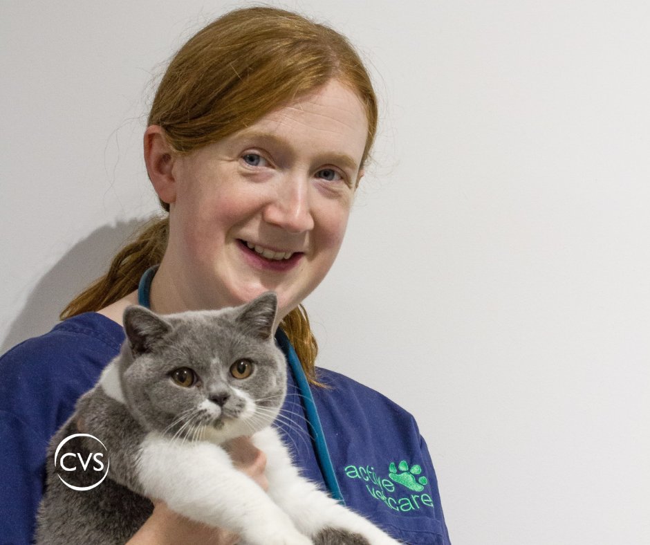CVSGroupPlc's tweet photo. Congratulations to Jenny Brown, clinical director at Bracken Veterinary Centre, who achieved a merit in her Masters degree in Veterinary Anaesthesia.
#thisisCVS #career #veterinary #vetmed #careers #GreatPlaceToWork #PeoplePost https://t.co/2bndiuvtfk