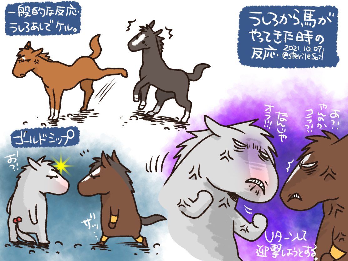 @ebi1989 ありがとうございます😊
初めて見ました!
ソダシのカメラ慣れもわがままも可愛いけど、100怒られたら150にして返す荒くれ者なんですね😁
振り返って迎撃面白い!イメージを絵にしました😆 