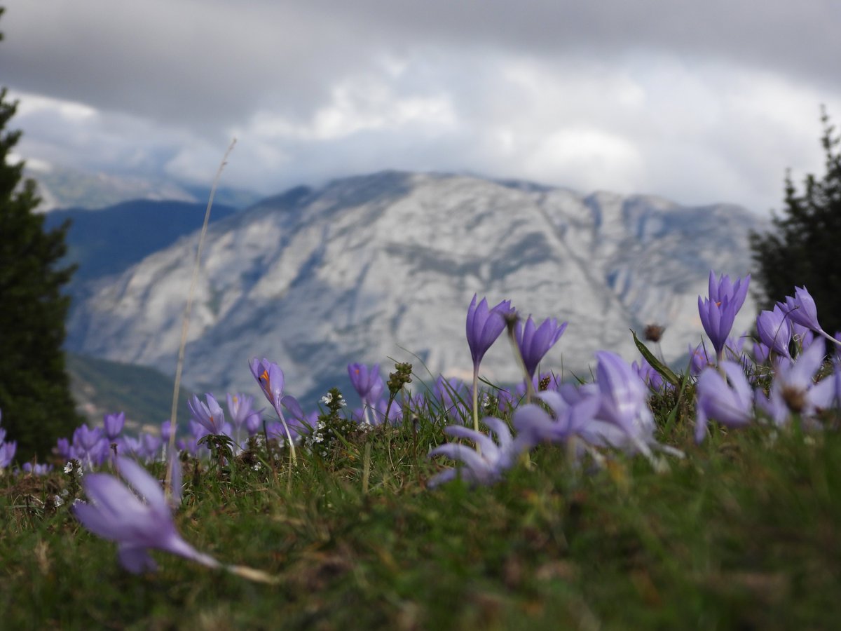 Guías de Montaña Experiencias Ecoturismo Asturias
lobonomada.es #ParqueNaturalDeSomiedo #TurismoAsturias #EcoTurismo #SpainNature #SpainMountains #Trekkink #Montaña #Naturaleza #EducacionAmbiental #ParqueNaturaldeRedes #PicosdeEuropa #Senderismo #TurismoRural