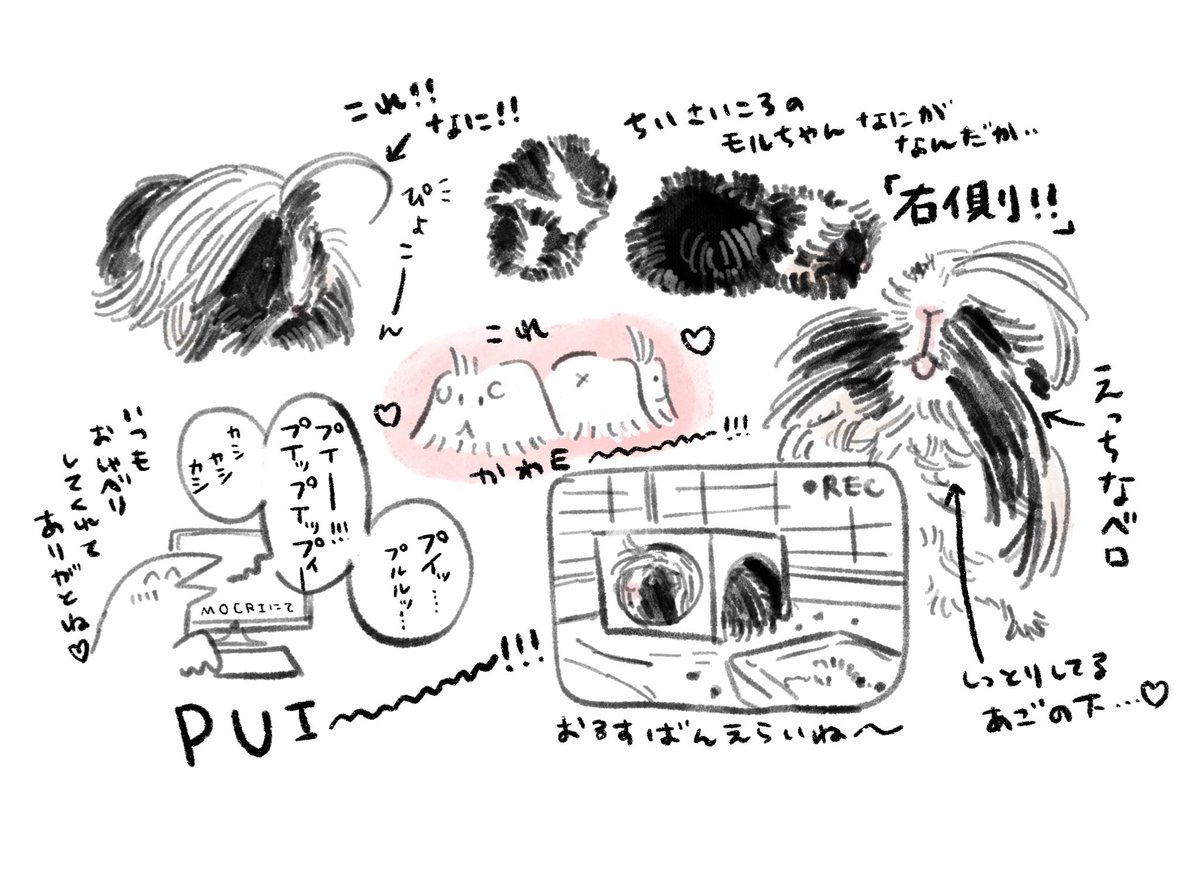 もるちゃん可愛いね
もるちゃん愛しいね 