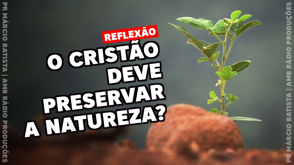 PrMarcioBatista's tweet photo. A grande maioria ao comer um fruto tem o hábito de jogar a semente fora, eu confesso que faço isso também. Mas, qual seria a atitude correta? Percebo que faltam políticas volt...

https://t.co/Hq1gJwaanq

#Natureza #Ecologia #Animais #Justiça #Preservar #PrMárcioBatista #Reflexão https://t.co/Z9U1dKSw9t