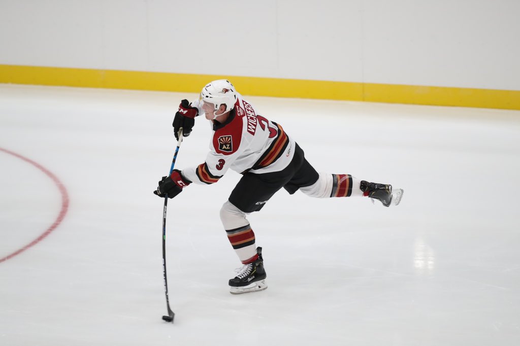 RapidCityRush's tweet photo. Last night, a few of our signed guys played in the @RoadrunnersAHL x @HSKnights scrimmage! Quinn Wichers (@QWicks4) scored the only goal 🏒 https://t.co/nzjLWV37b4