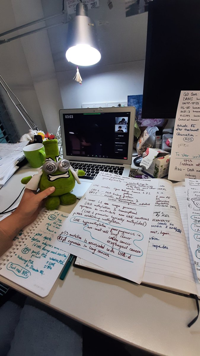 dreameronacloud's tweet image. #UppTransposon2021 
Conferences nowadays looks like that 😬