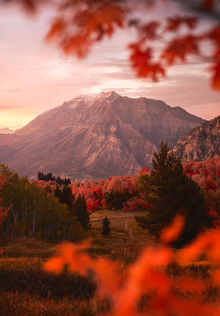 paige_tingey_'s tweet image. Utah fall has been something else this year! 🍁