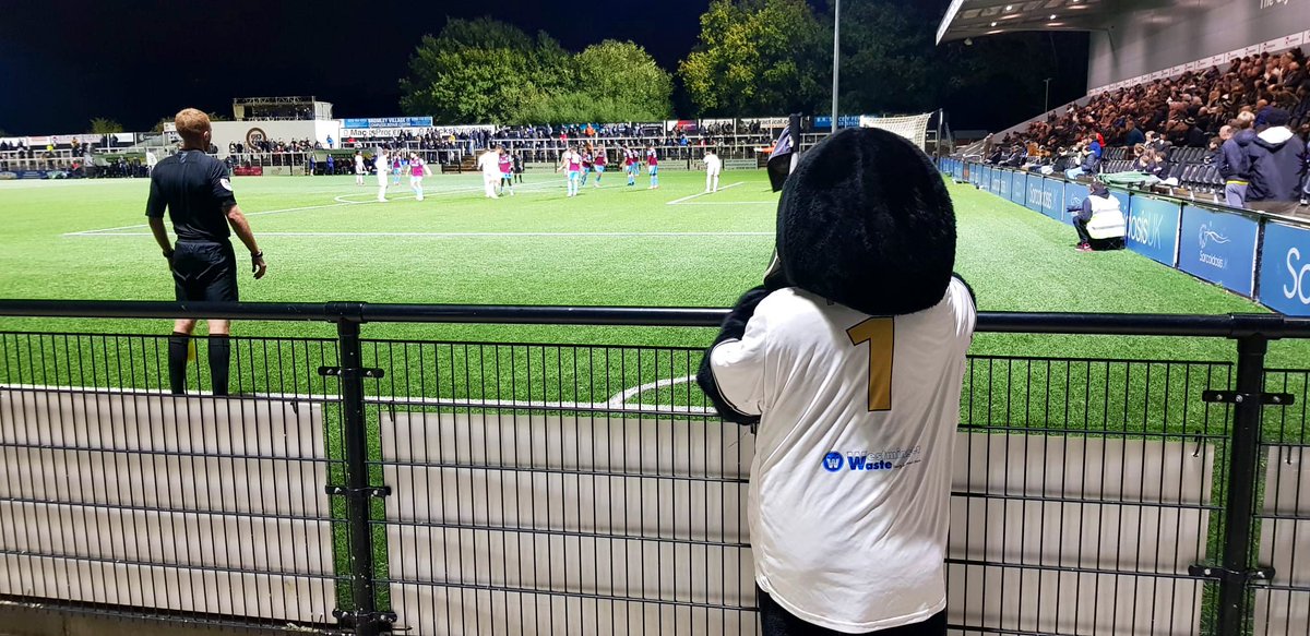 Ronin The Raven tweet media