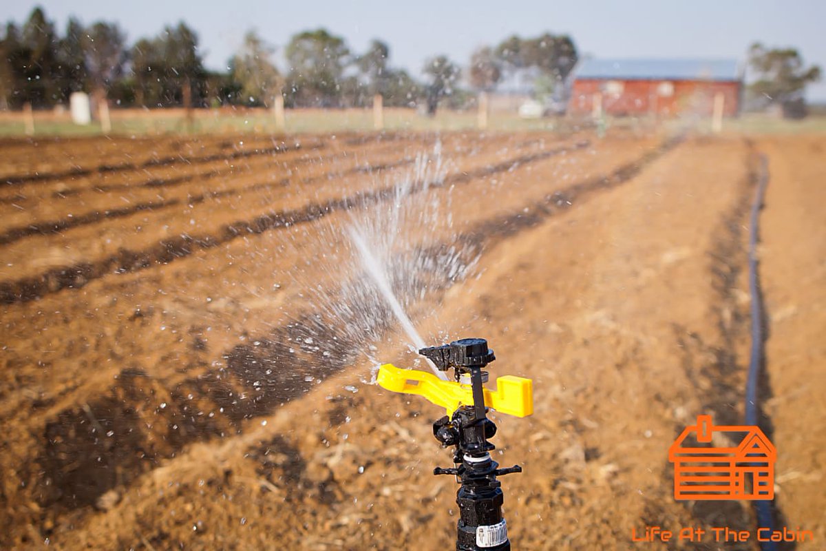 YamkelaKhoza's tweet image. Being a farmer is like caring for thousands of kids who are very susceptible to diseases &amp;amp; sgebengaz. EVERYDAY u make sure few kids die...bcoz some will. 
It hurts
Kakhulu
But you can't stop
Bcoz you love these kids so much
Also, they contribute a lot to fighting #foodinsecurity