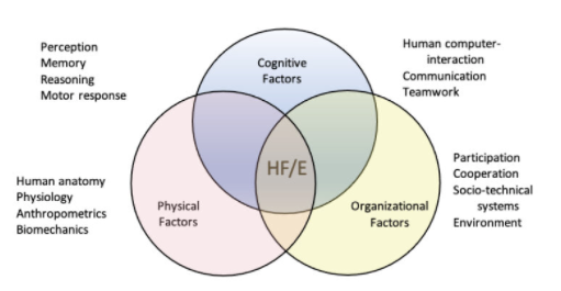 Happy #ErgonomicsMonth! Read more about the principles, perspectives, and values of HF/E on the IEA's website (lnkd.in/dqwCYnGK) 

#HumanFactors #Ergonomics #IEA