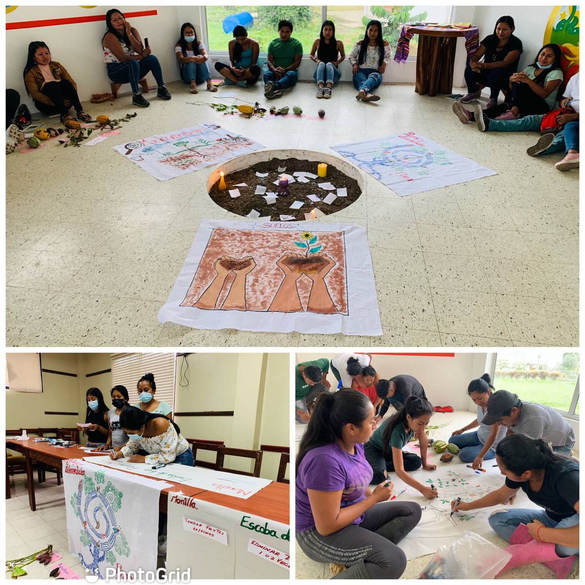 Juventud innovadora, una propuesta para la sostenibilidad del agro, desde el Centro de Transferencia de Tecnología @Maquita_Cjusto se desarrolló talleres de formación  con  jóvenes mujeres y hombres monitores fitosanitarios de comunidades de Napo. #Agroecología