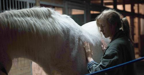 Debra Sears🇺🇦 tweet media