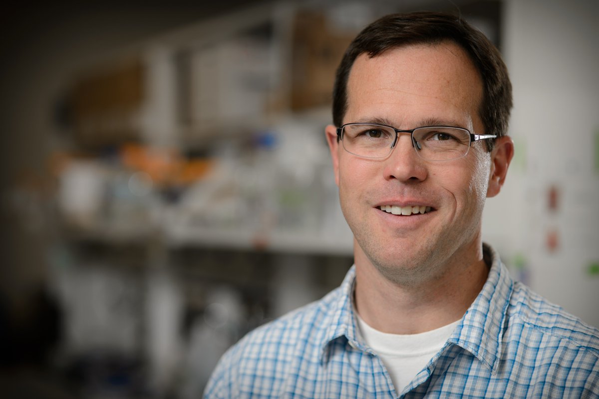 MSU Cancer Research tweet media