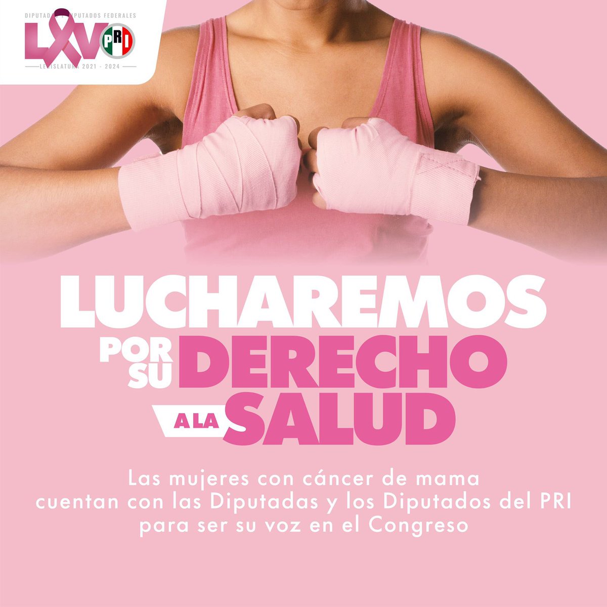 #ElCáncerEnLaAgenda ♀️

El @GPPRIDiputados luchará desde el pleno, por más y mejor atención contra el cáncer de mama. Para las y los diputados del @PRI_Nacional es prioridad que todas tengan derecho a la salud.