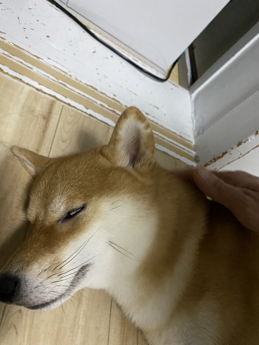 Home Use Night Mode Notifications Notification Sound My Profile Show Profile Account Setting Sub Users Personal Account Business Account Show Me Online Delete History Expose Author Name Cross Video Days Oqgd Sdlq Zhcp Taab Lnwz Yydf Pfuq