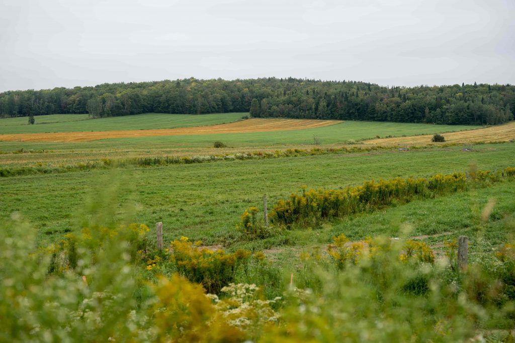 Escapade d'un week-end dans Portneuf - nomademagazine.com/2021/10/escapa…