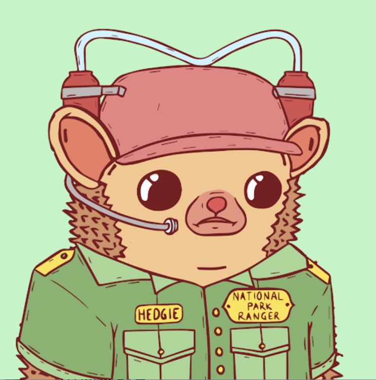 ColeTheeRanger's tweet photo. @JessieMorii @MyLittleUzis @EtheriaChan Look how cute these hedgehogs are, probably inedible as froyo now that i think about it cause the quills… https://t.co/rkGcKHDsYO