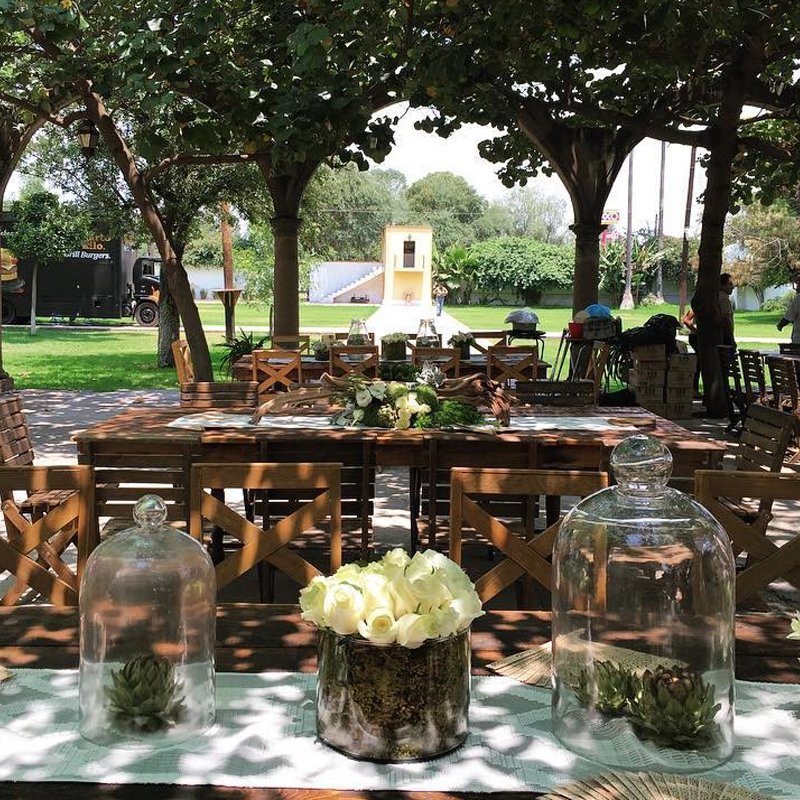 Bosque encantado 🌳🌹✨