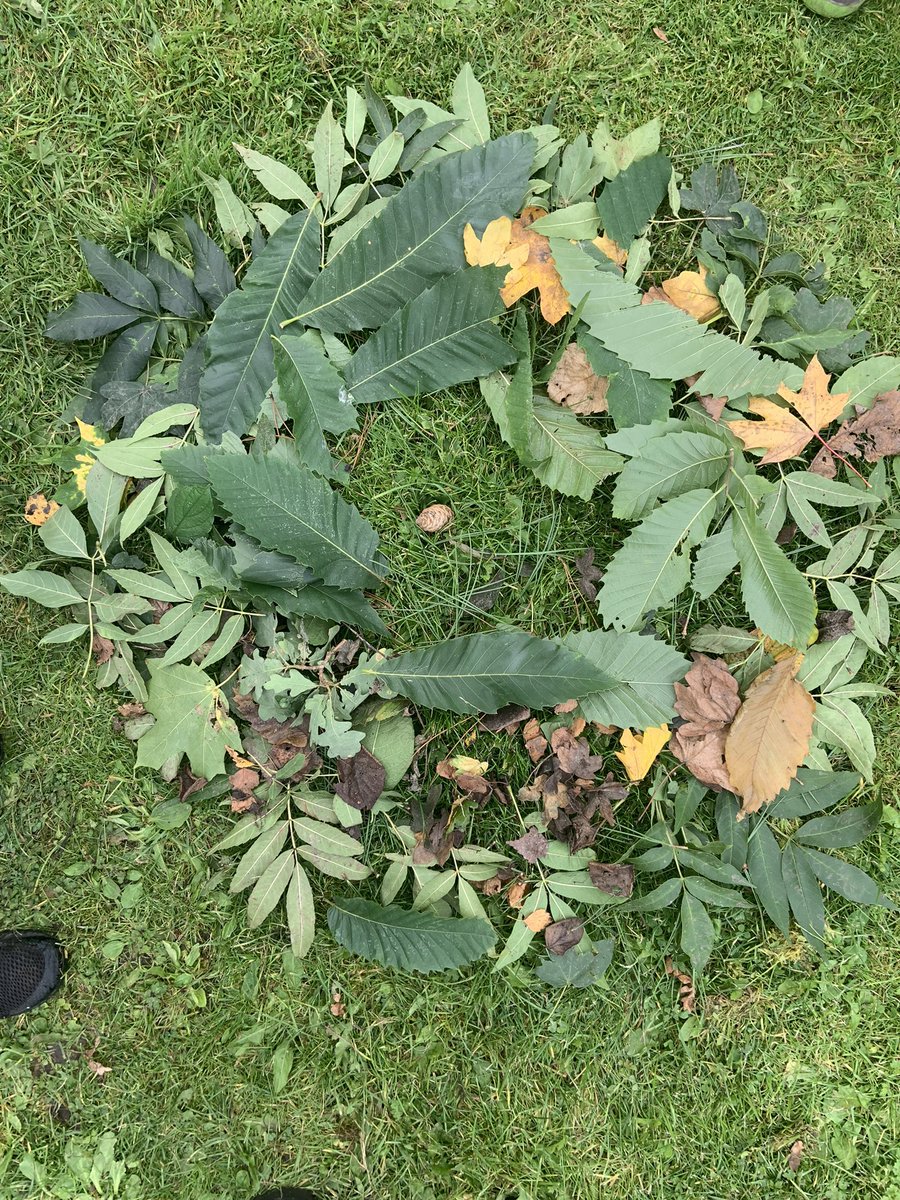 EdadventuresM's tweet photo. @RFJamesUK @JoFreeRangePlay @OutdoorEdChat @GoldsworthyAndy Your work produced gasps from some of my kids this week James. They were v interested in how long it takes you to produce & whatβs the most amount of leaves youβve used for one artwork? Some of them managed the #100leafchallenge https://t.co/Ld1C9DEbTK