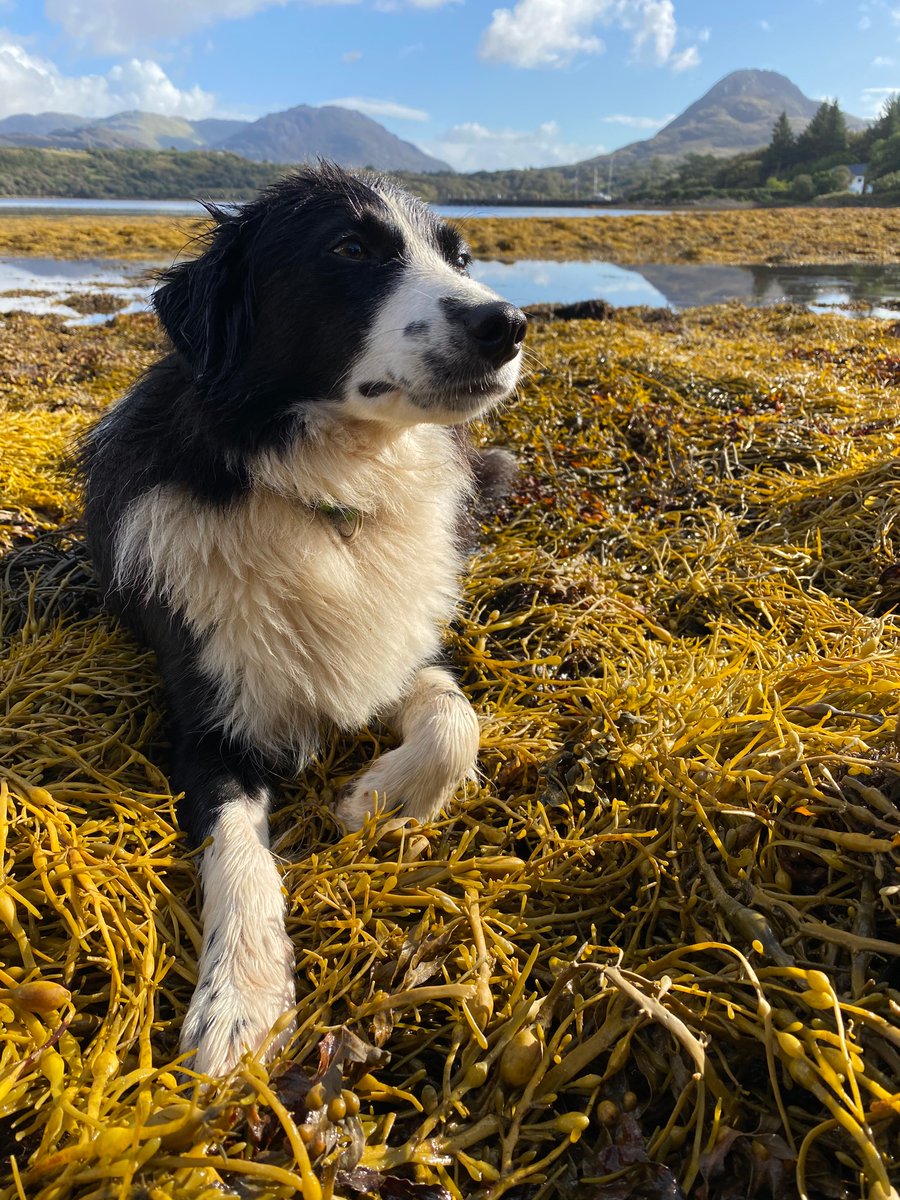 Thom Breathnach tweet media