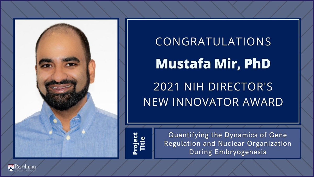 Penn Medicine CSO (@pennmedcso) on Twitter photo Congratulations to <a href="/MustafaMir16/">Mustafa Mir-@mirlab.bsky.social</a> (<a href="/PennCDB/">UPenn CDB</a>/<a href="/CHOP_CCGM/">CHOP Center for Computational and Genomic Medicine</a>), recipient of the @NIHDirector's New Innovator Award!🎉 Learn more about Dr. Mir's project bit.ly/3uNuV6T and research interests here bit.ly/2WQ3E7c #NIHHighRisk Congratulations to <a href="/MustafaMir16/">Mustafa Mir-@mirlab.bsky.social</a> (<a href="/PennCDB/">UPenn CDB</a>/<a href="/CHOP_CCGM/">CHOP Center for Computational and Genomic Medicine</a>), recipient of the @NIHDirector's New Innovator Award!🎉 Learn more about Dr. Mir's project bit.ly/3uNuV6T and research interests here bit.ly/2WQ3E7c #NIHHighRisk