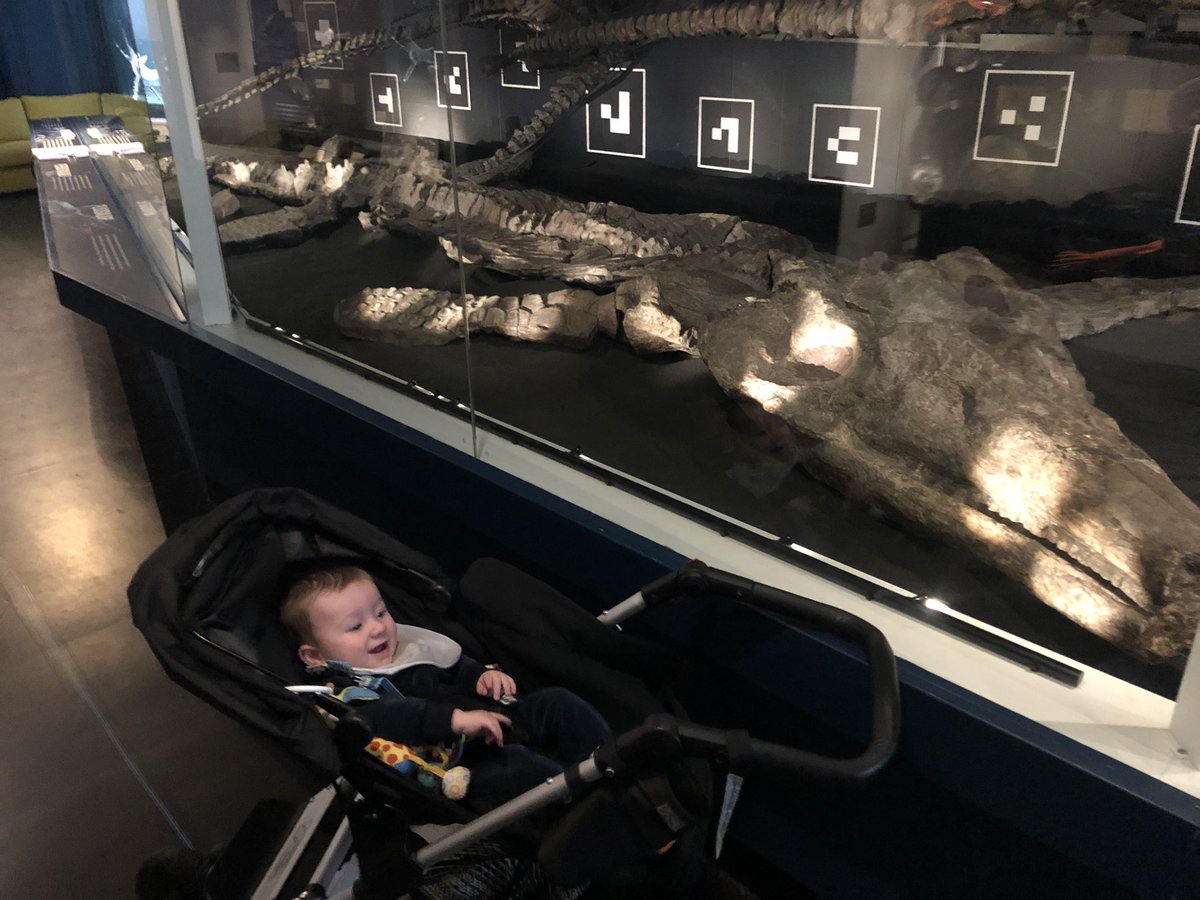 RoseStanyon's tweet photo. Great visit to @YorkshireMuseum to see King Richard in all his shiny glory and a dinosaur. What more could you want? #York https://t.co/xdr4iPjKMo