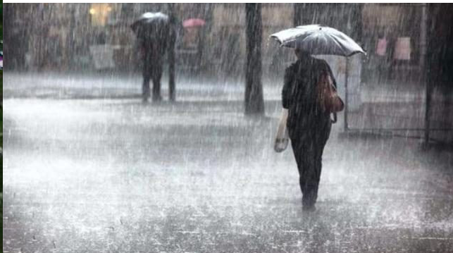 Het was zo’n dag waarop je qua hoosregens liever thuis bleef. Maar ja, ik wilde eigenwijs als ik ben toch naar de Provençaalse markt in het stadje verderop. Weer of geen weer, die markt is er.

kijkzuidfrankrijk.com/2021/10/07/eve…