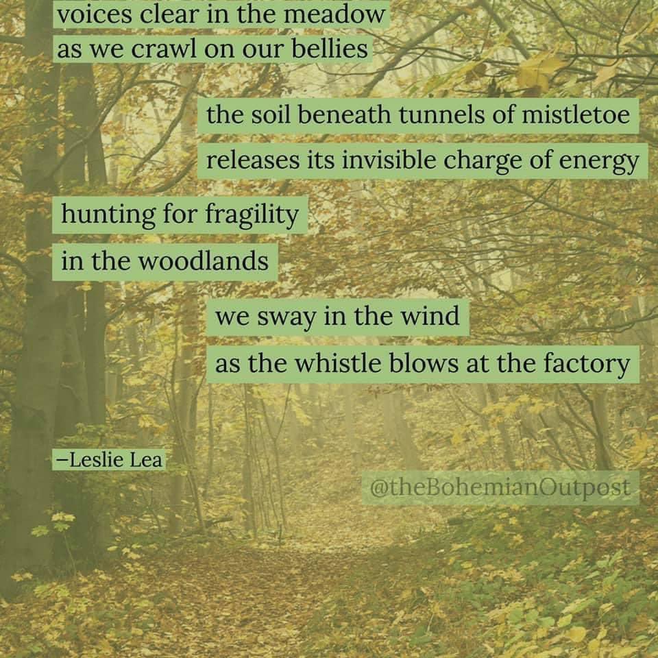 PShmoetry's tweet photo. This weeks poetic contribution by Leslie Lea with IG:thebohemianoutpost 

#poetryshmoetry #poetsoftwitter #voices #fragility #wind #whistleblow #invisible #energy https://t.co/KO5G1LtQiP