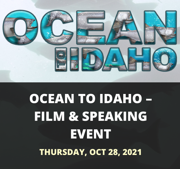 Salmon swimming on big screen in Boise Oct 28. Ocean to Idaho showing at <a href="/EgyptianTheatre/">Egyptian Theatre</a> hosted by Idaho SEC and <a href="/EdwardJones/">Edward Jones</a>. Order tix here: egyptiantheatre.net/event/ocean-to…