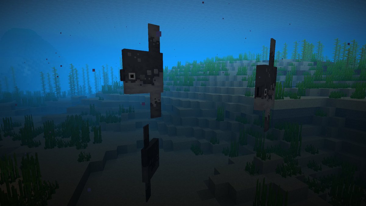 Mola mola aka ocean sunfish aka moonfish aka funny fish! #Minecraft # ...
