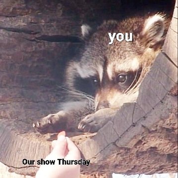 thehavnauts's tweet photo. 😏😏😏 @casbahsandiego https://t.co/6WaZYv455l