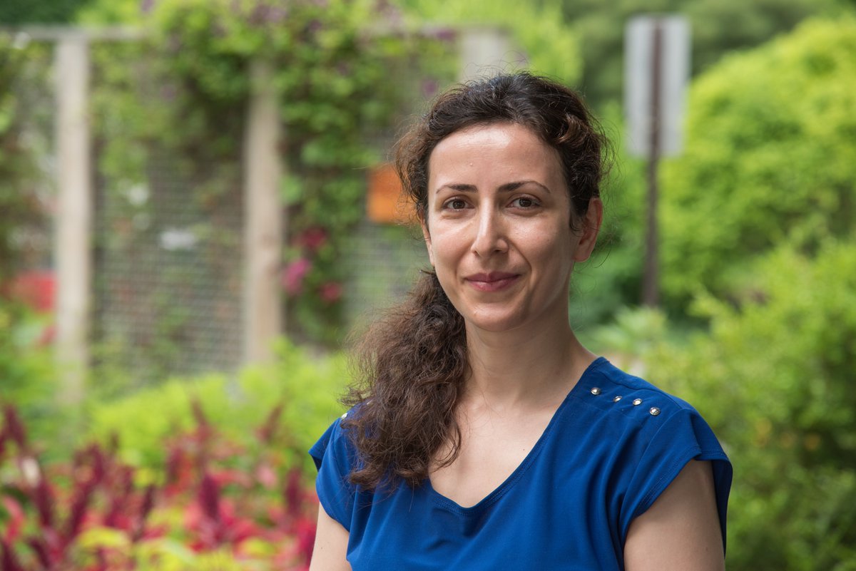 Welcome to our member, Maryam Rahmati Ishka. Maryam is a postdoctoral scientist at BTI at Cornell University who studies how environmental stresses shape plant architecture. As a member of WiPB, Maryam thinks of ways to help women achieve their potential as scientist.