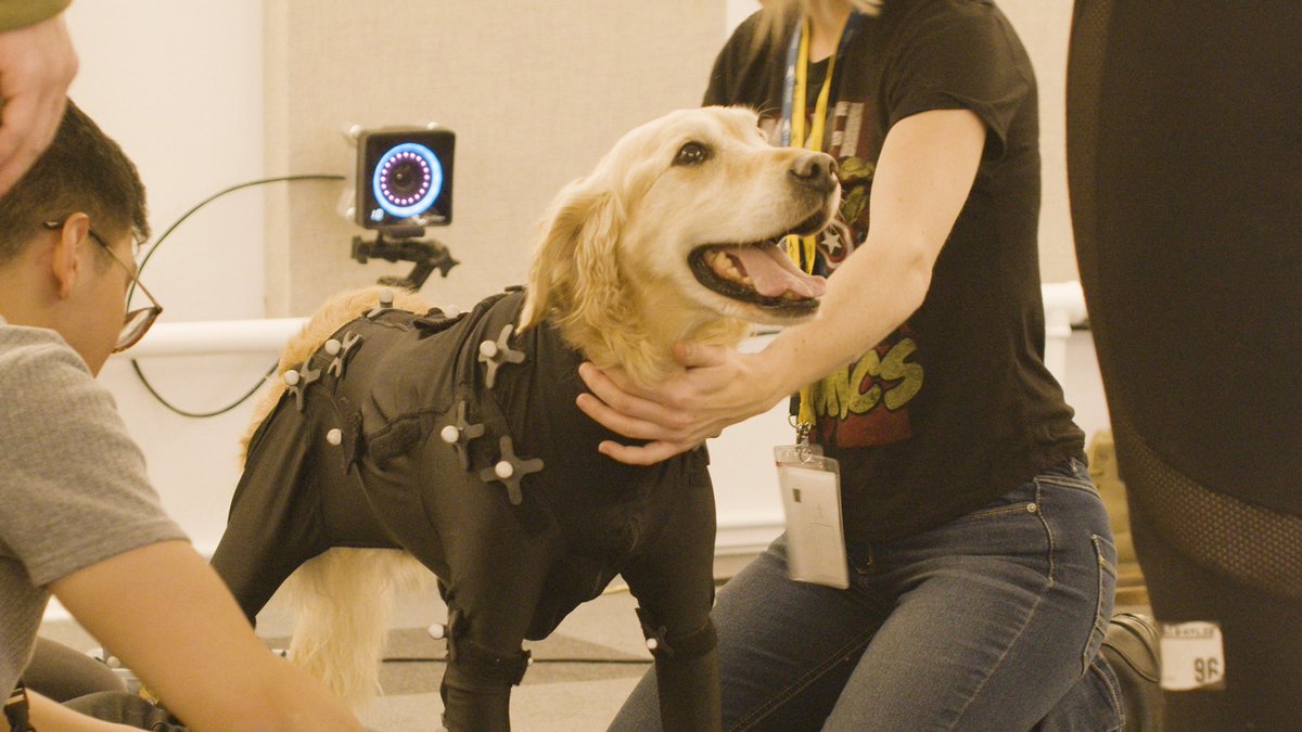 dog_rates's tweet photo. This is Diego. He plays Cosmo the telepathic Space Dog in the pupcoming @Marvel Guardians of the Galaxy video game. He was fitted with a high-tech motion capture suit to create all the in-game footage. 14/10 would be an honor to pet #ad https://t.co/xuPGmfn89P