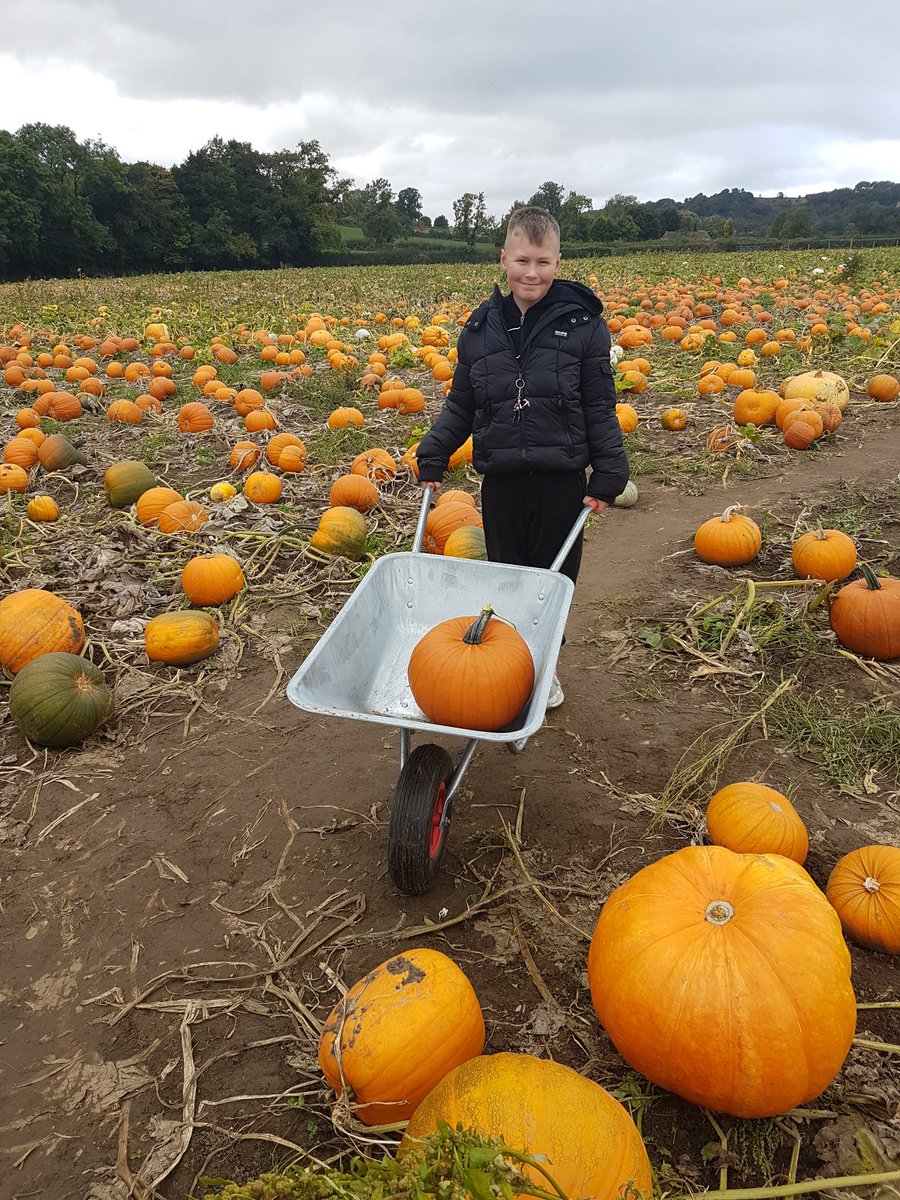 Hollyhouse45's tweet image. Pumpkin picking on after school activities 😍💕👍
#connect 
#fun 
#Positiveexperiences