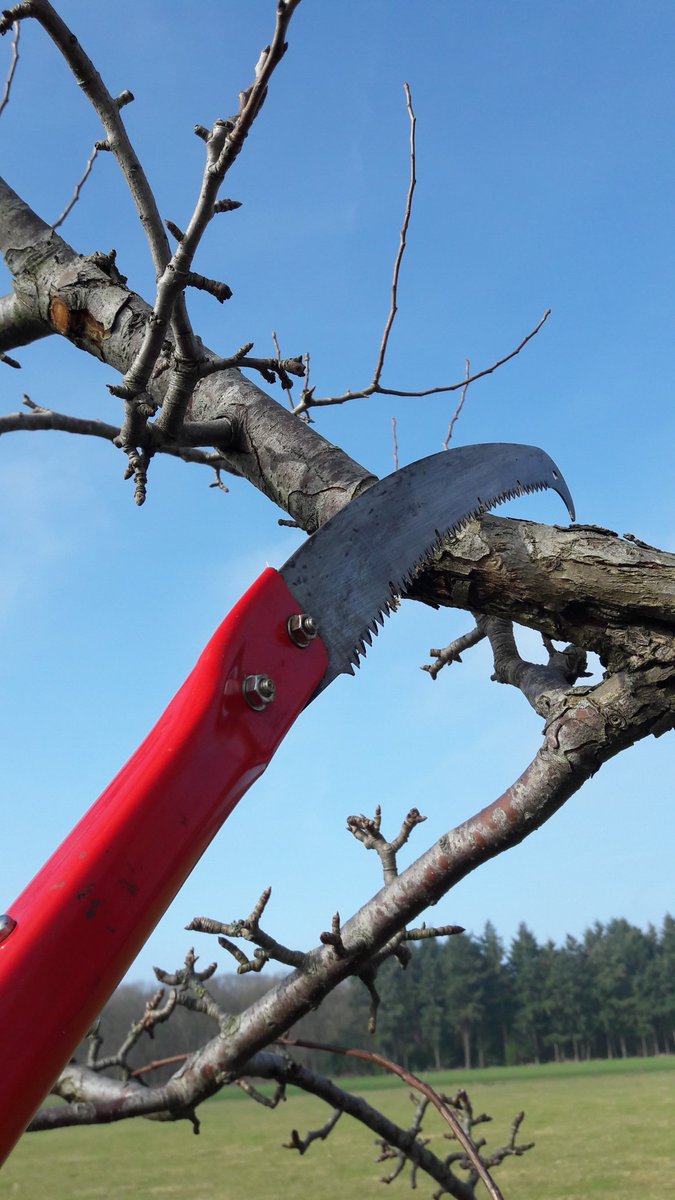 <a href="/HSBKrommerijn/">HoogstamKrommerijn</a> uit #lockdown we starten met plannen, organiseren om #snoeien #hoogstamfruit binnen <a href="/gemHouten/">Gemeente Houten</a> <a href="/gembunnik/">Gemeente Bunnik</a> <a href="/GemWbDuurstede/">Gem.WijkbijDuurstede</a> tot een succes te maken. Het #werk maken we met #vrijwilligers