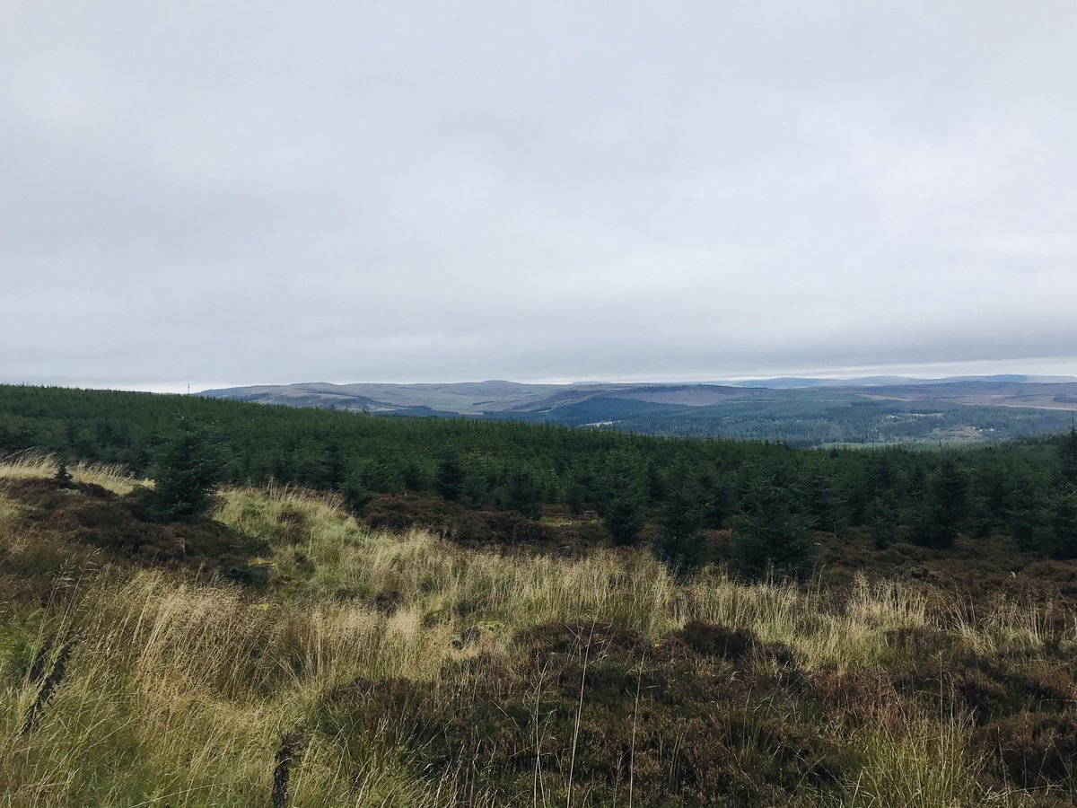 helz1980's tweet photo. Vast amounts of space #running #getoutside #redevalley https://t.co/fq8wCszr8d