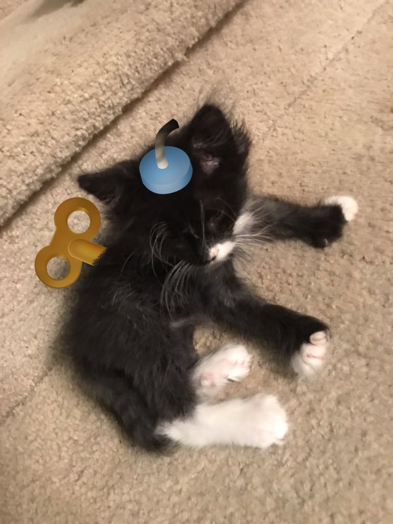 RocketCatRescue's tweet image. ...There.. Perfect. #BombOmb