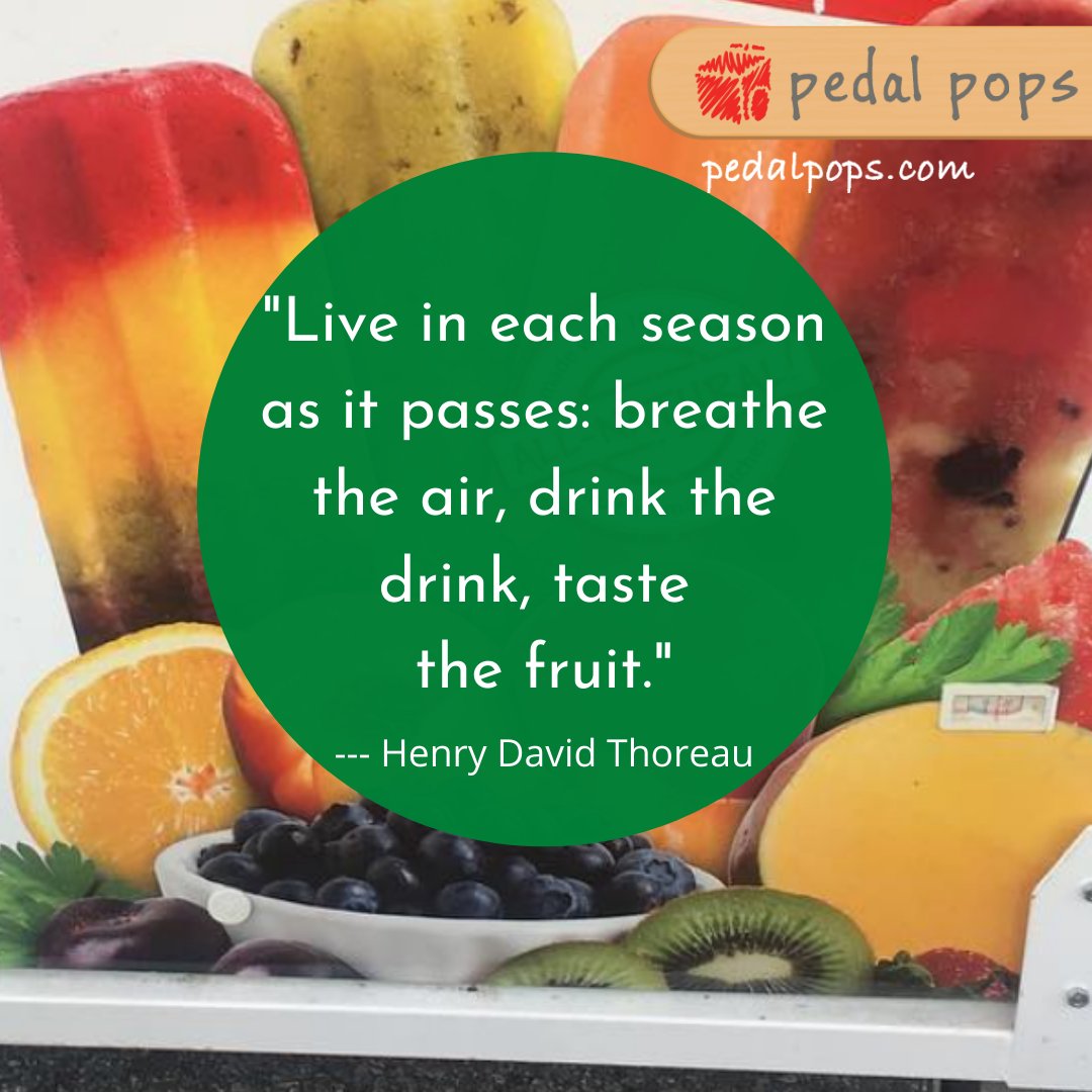 pedalpops tweet media