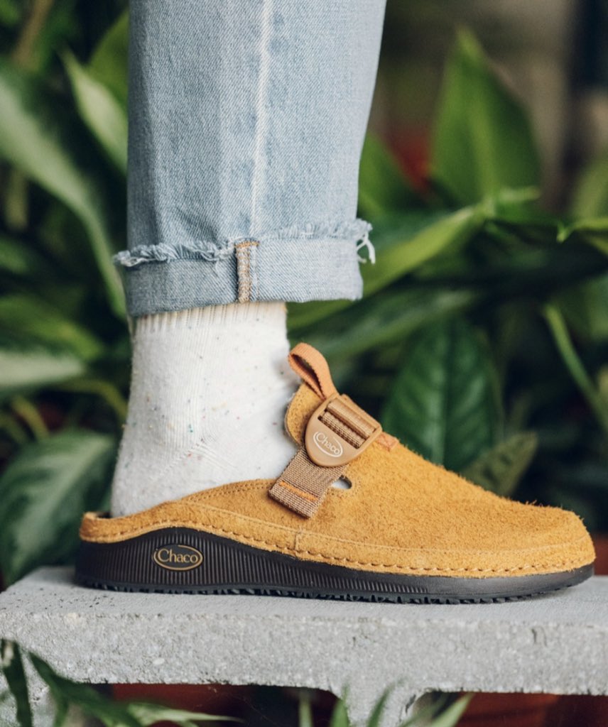 clayton chambers tweet media