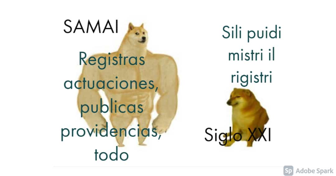 j13admbuc's tweet photo. Con SAMAI, los usuarios no solo podrán ver las actuaciones registradas, también podrán tener acceso a las providencias y al expediente digital. @judicaturacsj @consejodeestado https://t.co/nxWdkO4JI0