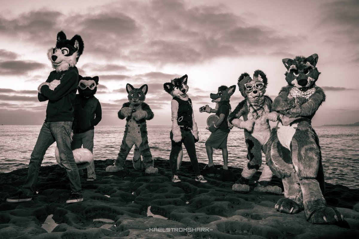 BanditRaccoon1's tweet photo. Group pic that looks like an album cover! 

📸:@MaelstromShark https://t.co/c5uyBN4ry0