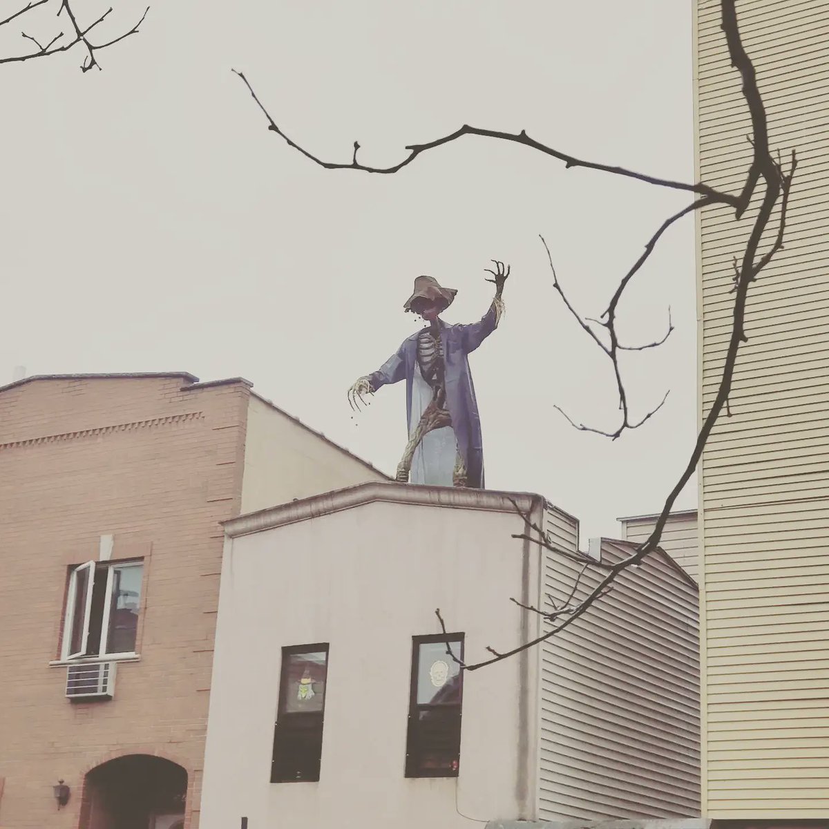 House7A's tweet photo. @Shudder Hi @Shudder, please meet my 12 ft rooftop scarecrow, @Stanley_Straw https://t.co/cEdtKDwljS
