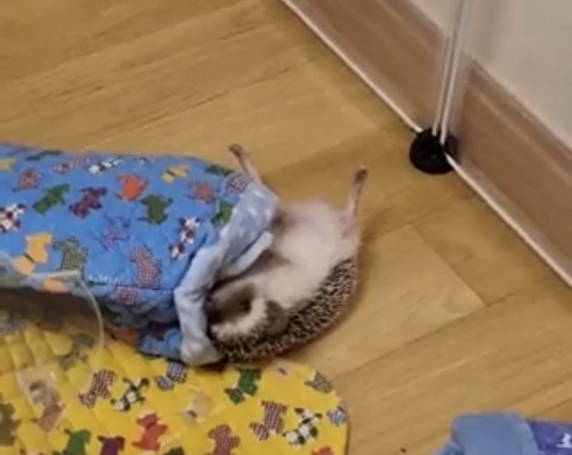 moatwt crying                moatwt crying
for baby soobin    🤝     crying for odi