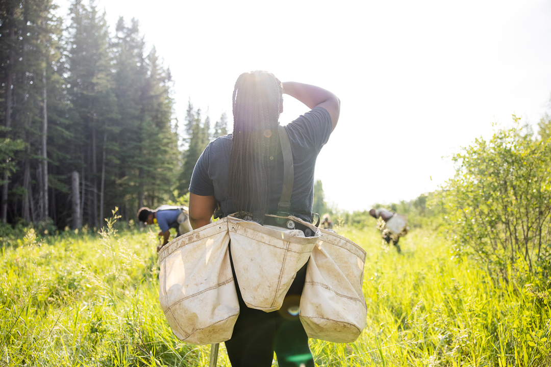 Hero Images tweet media